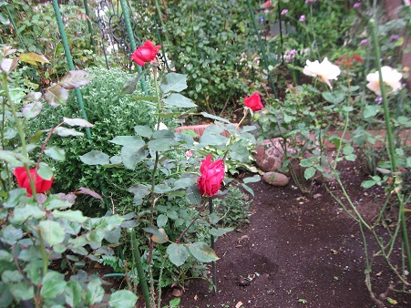 f0325309_17303900.jpg