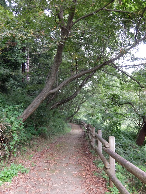b0207615_21032730.jpg