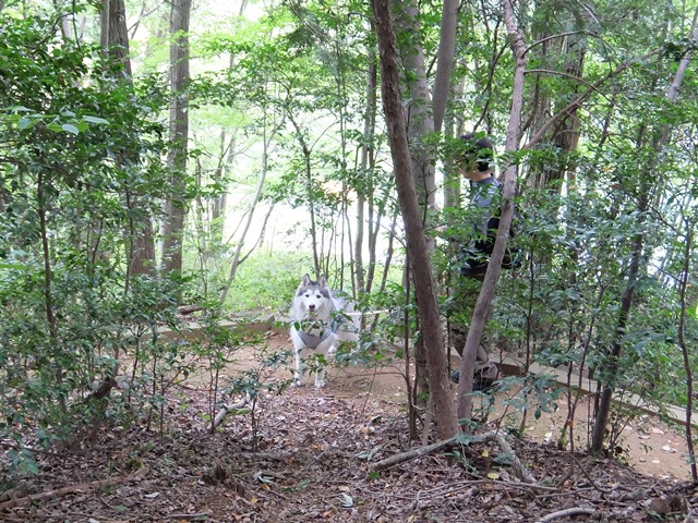 b0207615_21034067.jpg