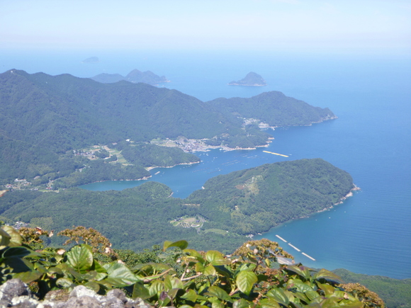 d0170615_2045249.jpg