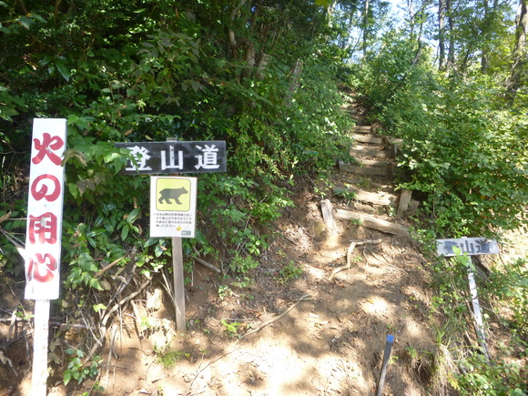 d0170615_2046572.jpg