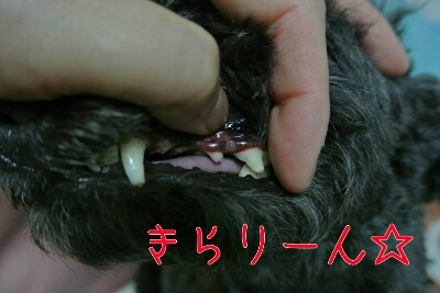 b0236618_10172282.jpg