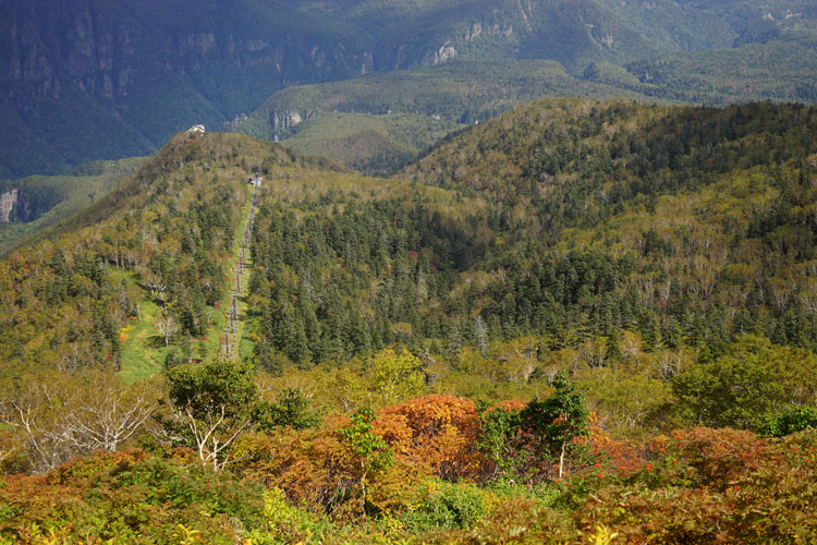 f0116528_2034447.jpg