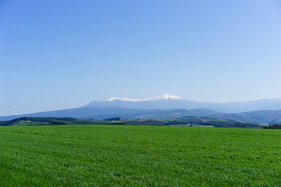 e0025030_914203.jpg