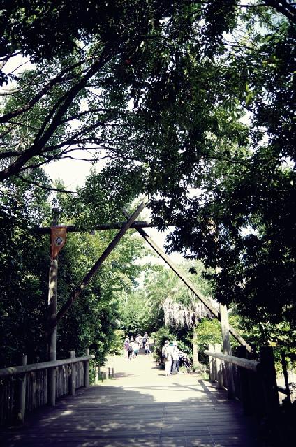 f0338831_22540418.jpg