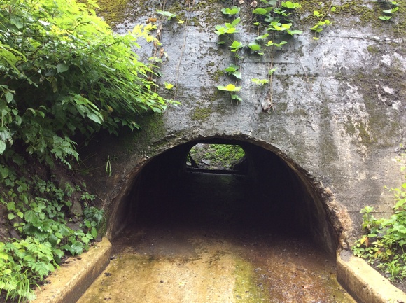f0118332_20254942.jpg