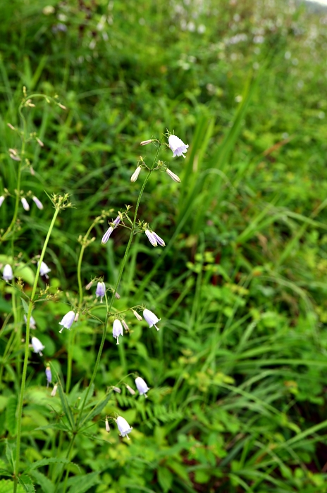 b0236334_16211633.jpg