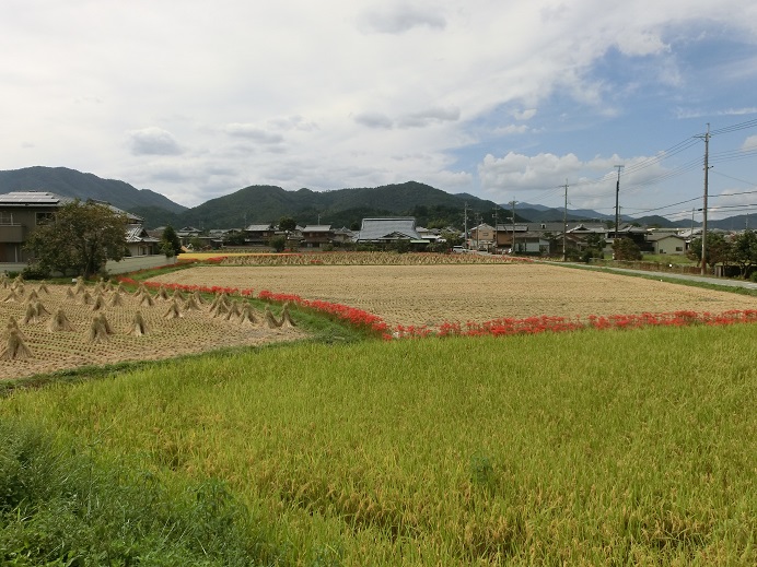 f0237037_1205232.jpg