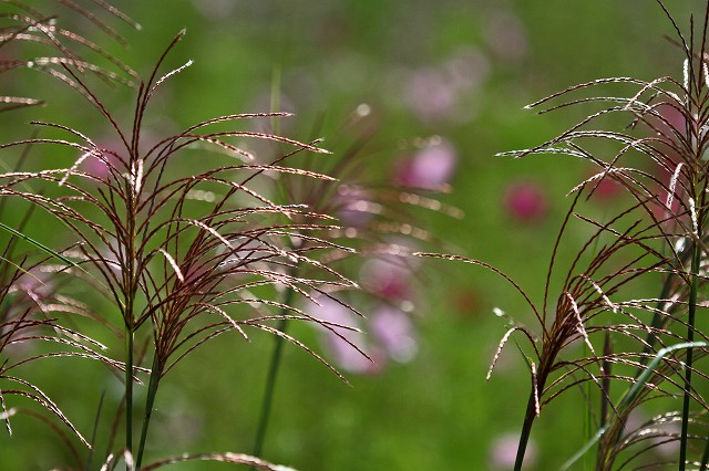 a0242438_2004536.jpg
