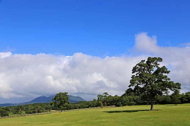 a0242438_2011244.jpg