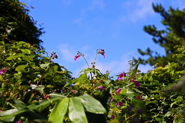 a0242438_2012376.jpg