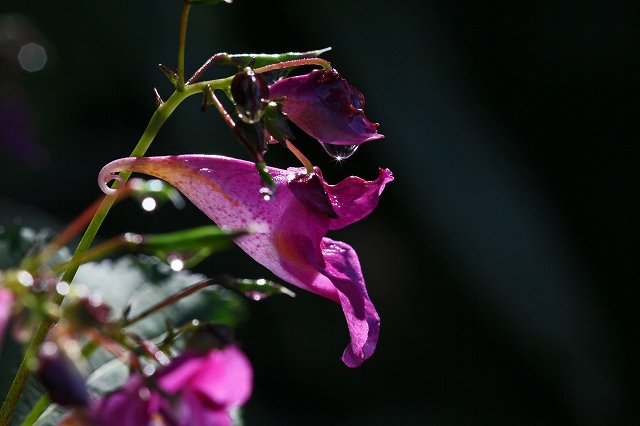 a0242438_20134100.jpg