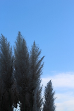 e0325038_21221496.jpg