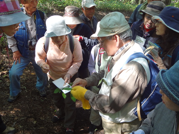 c0233141_1446258.jpg