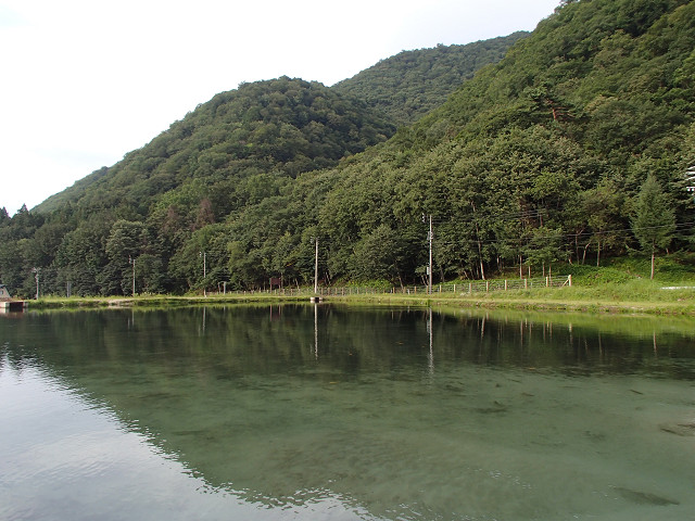 f0065341_16142747.jpg