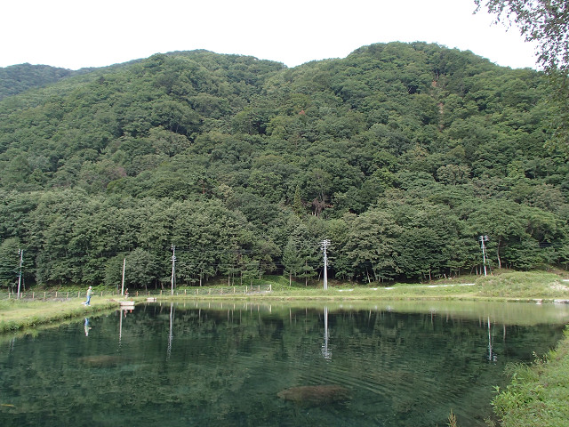 f0065341_16251831.jpg