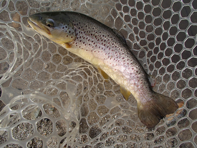 f0065341_16253559.jpg