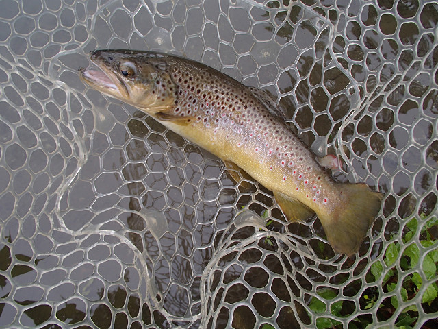 f0065341_16263470.jpg