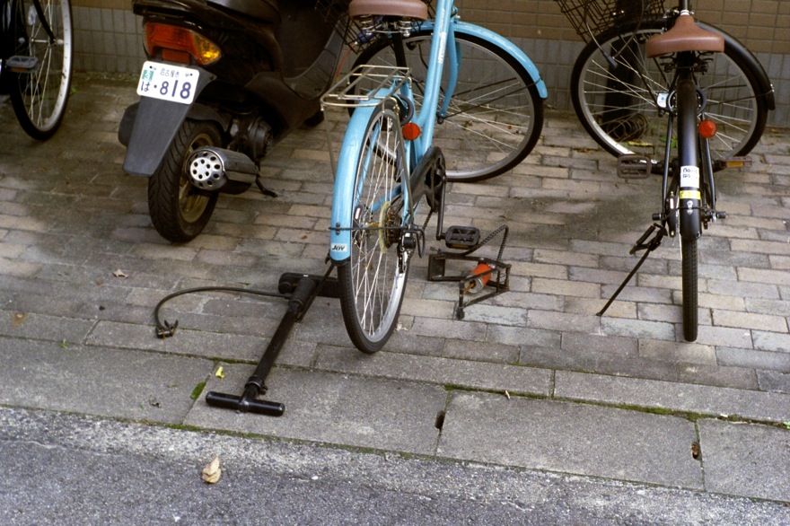 d0089742_23112912.jpg