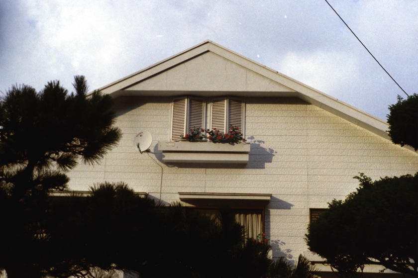 d0089742_2328930.jpg
