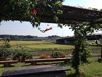 f0065542_21322525.jpg