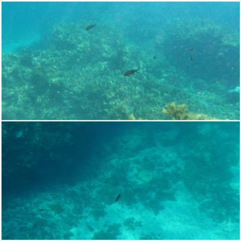 e0210347_431494.jpg