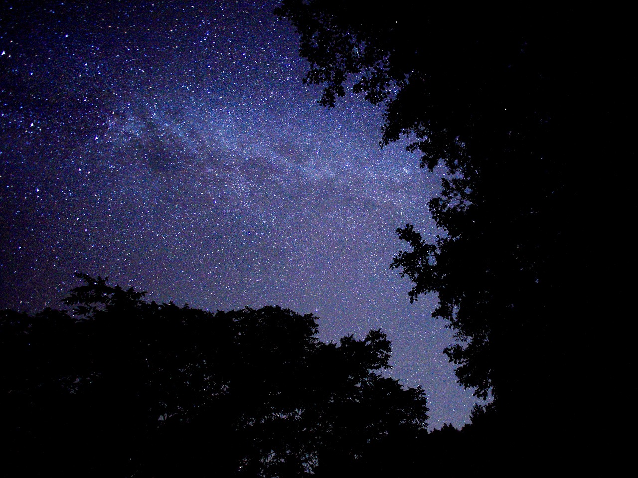 d0177549_10335027.jpg