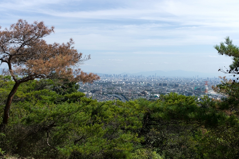f0323351_12104054.jpg