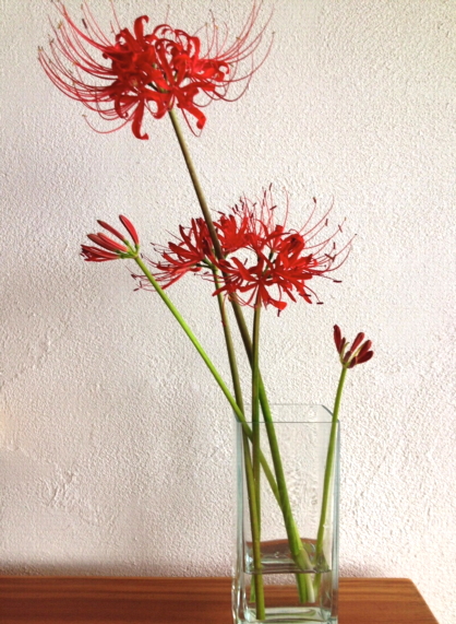 c0224154_931382.jpg