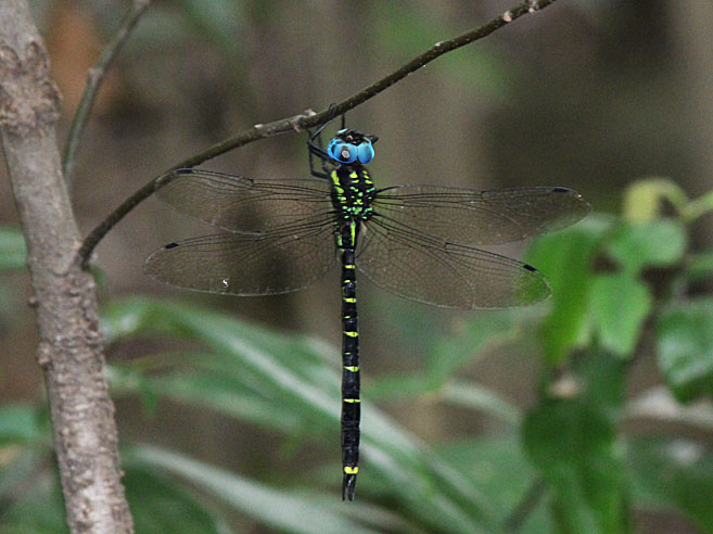 d0146854_1750571.jpg