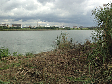 b0177760_15422498.jpg