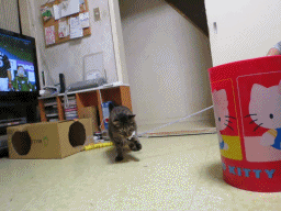 d0166164_23501310.gif