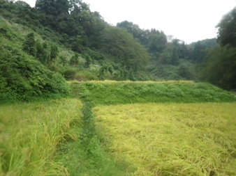 b0079965_44449100.jpg