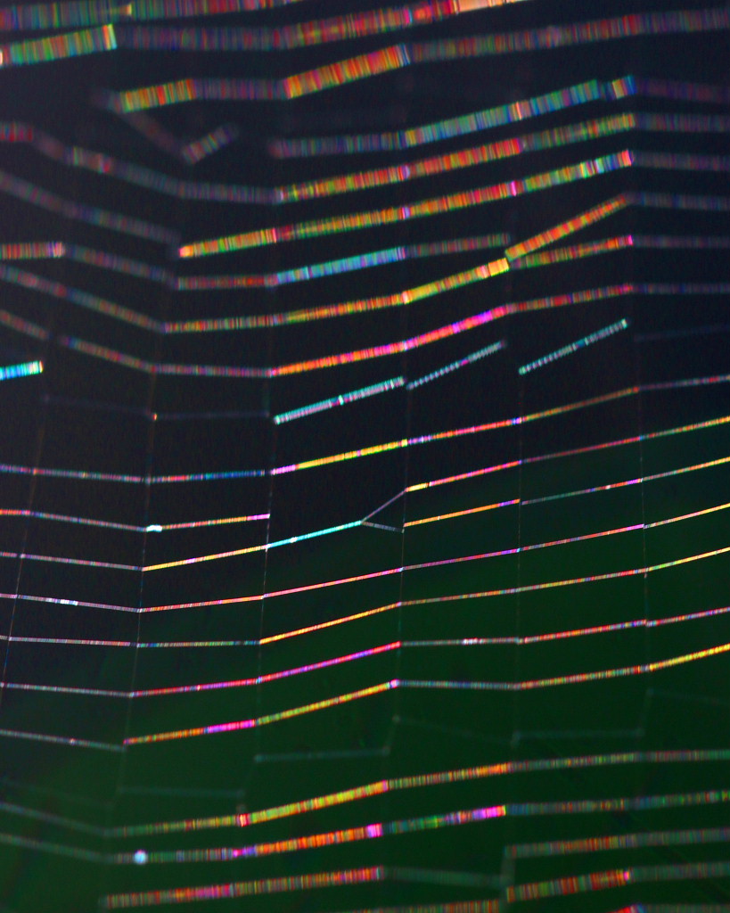 c0305565_18133915.jpg