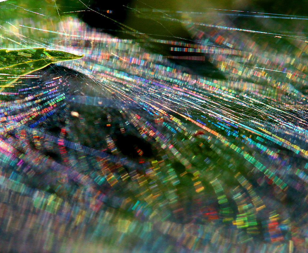 c0305565_18151470.jpg