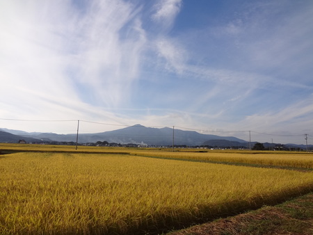 b0084468_22583430.jpg