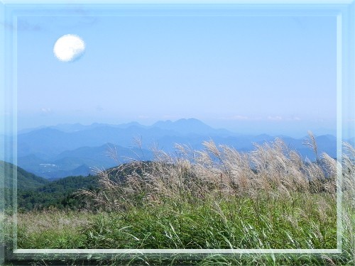 f0003174_10545882.jpg