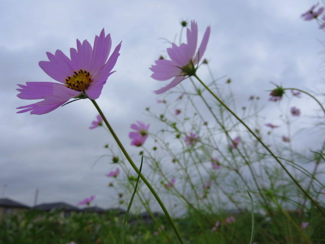 d0264176_1848651.jpg