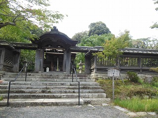 f0215580_105265.jpg