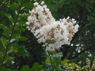 f0215580_10544525.jpg