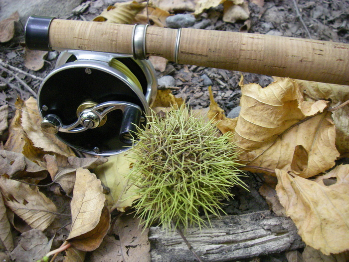 c0136486_15312272.jpg