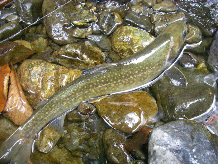c0136486_15525693.jpg
