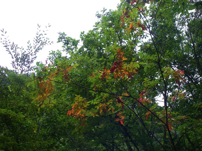 c0136486_1765479.jpg