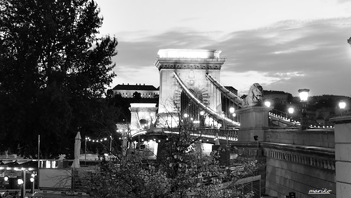 f0053297_15849100.jpg