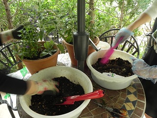 c0152002_18122269.jpg