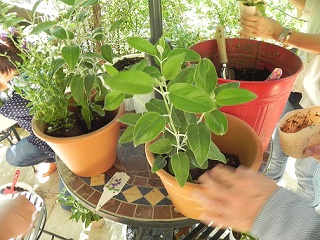 c0152002_18144672.jpg