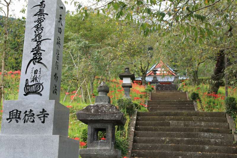 a0188405_00522876.jpg