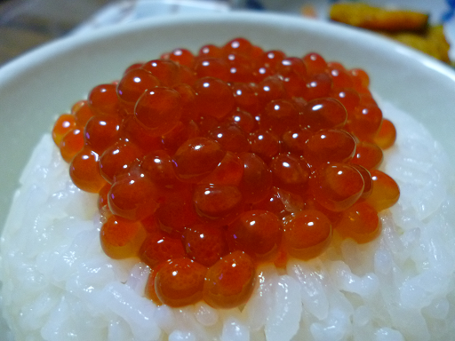 f0008510_135315.png
