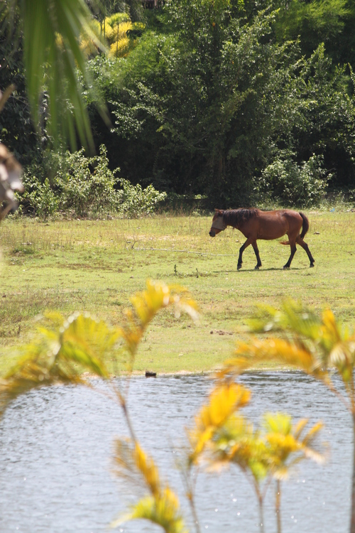 f0233916_1429403.jpg
