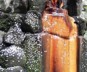 f0213825_13532256.jpg